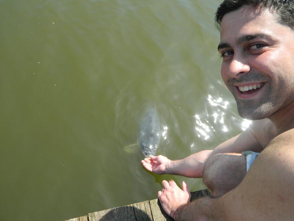 EU si pestii(like Batranul si marea!!!) - "micutzii"vin sa pape din mana mea cand simt ca sunt pe balta!!!